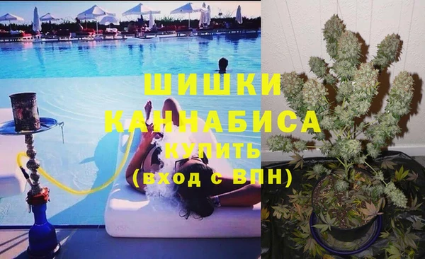 СК Надым