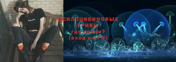 спиды Алексин